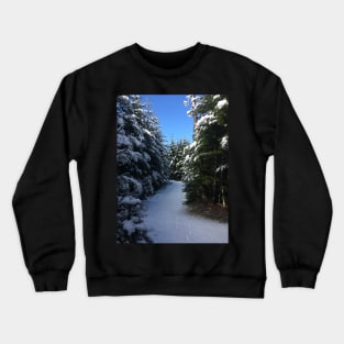 Twisting Winter Path Crewneck Sweatshirt